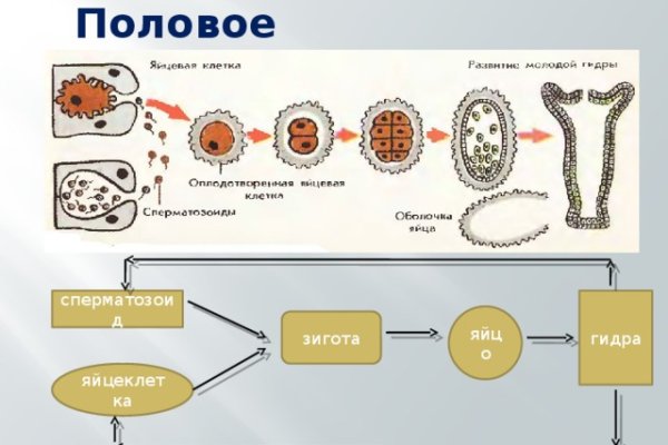 Кракен сайт продаж