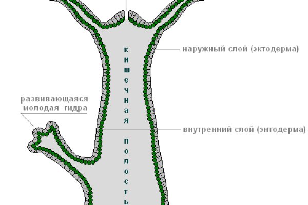 Кракен это современный даркнет маркет плейс